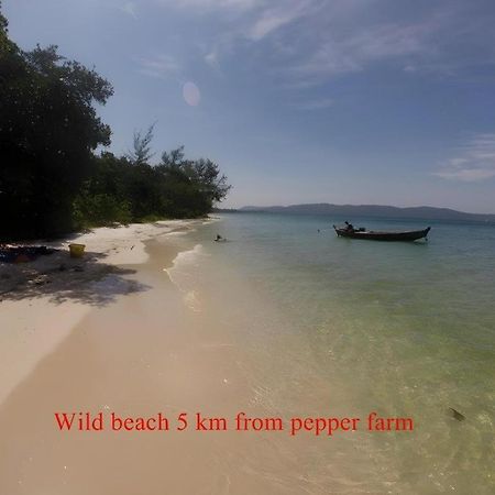 Pepper Farm Phu Quoc Bungalow מראה חיצוני תמונה