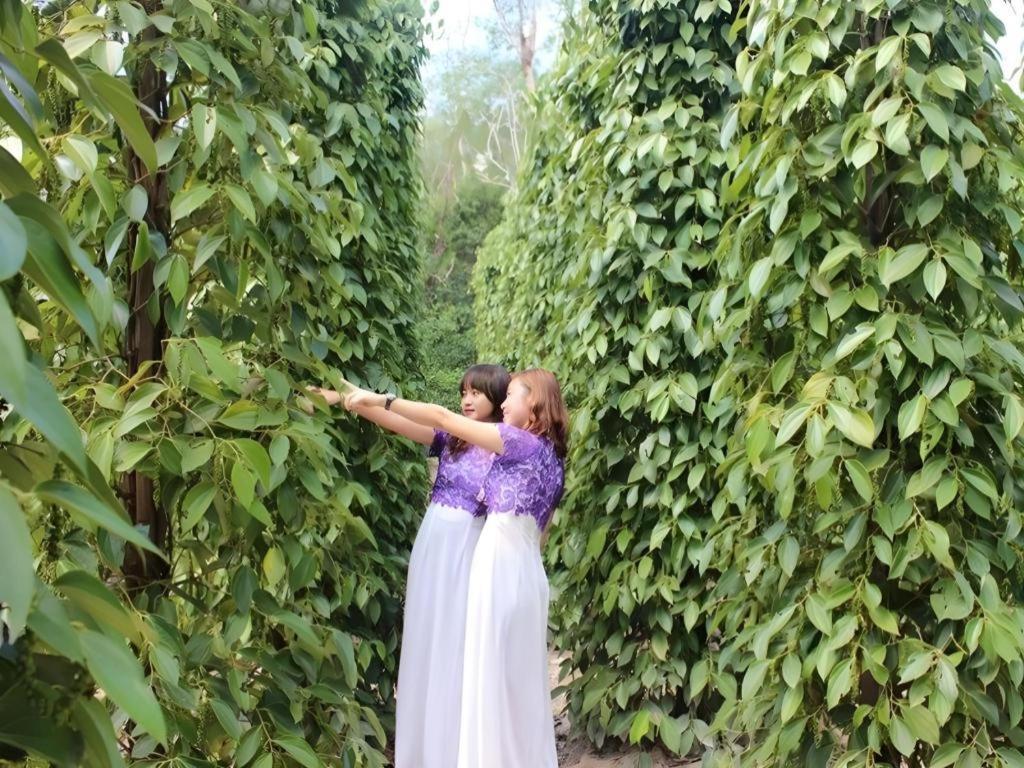 Pepper Farm Phu Quoc Bungalow מראה חיצוני תמונה