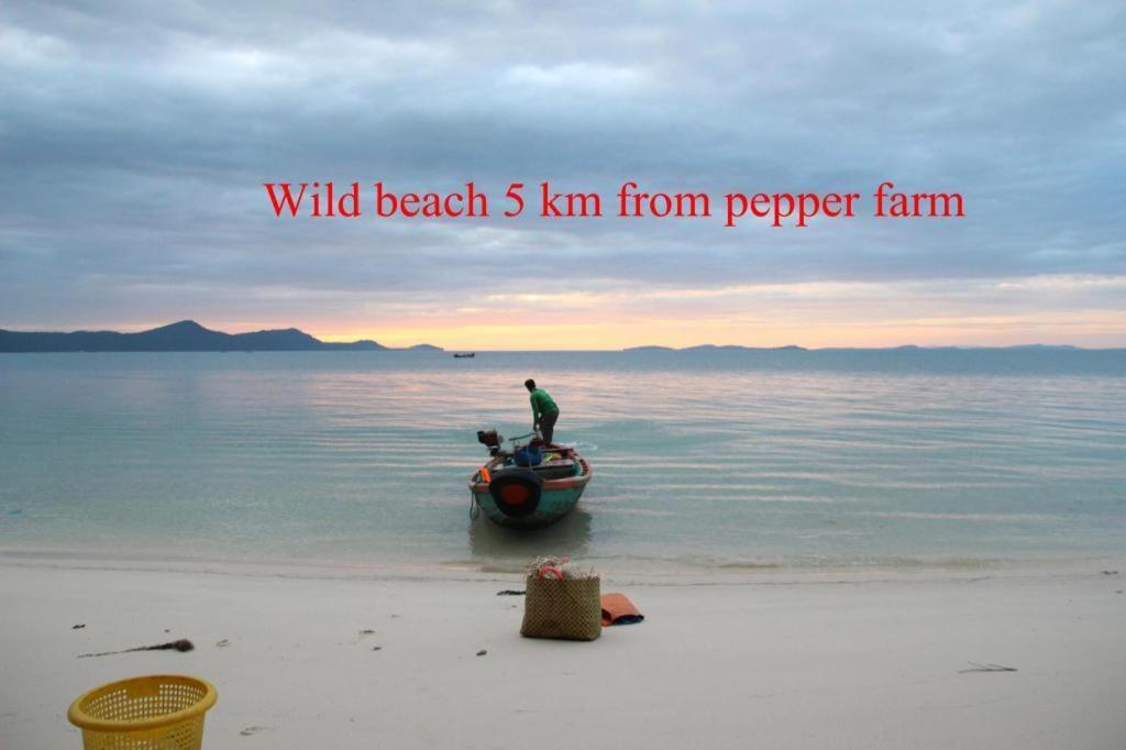 Pepper Farm Phu Quoc Bungalow מראה חיצוני תמונה