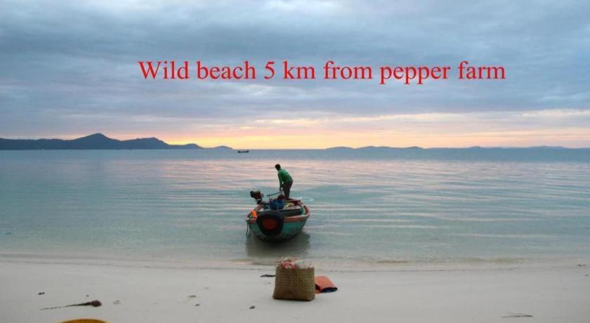 Pepper Farm Phu Quoc Bungalow מראה חיצוני תמונה