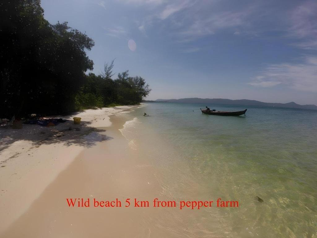 Pepper Farm Phu Quoc Bungalow מראה חיצוני תמונה